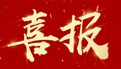 喜訊┃集團(tuán)黨委書記、董事長(zhǎng)向誠(chéng)榮獲市委表彰