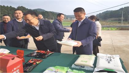 市委常委、政法委書(shū)記劉波濤帶隊(duì)調(diào)研指導(dǎo)定點(diǎn)幫扶村鄉(xiāng)村振興工作